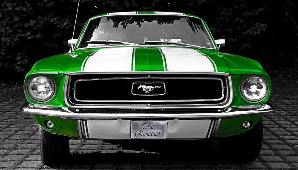 mustang